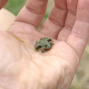 Ya, we're adults, but still spent time catching frogs by the water and playing among the wildlife.. lol.