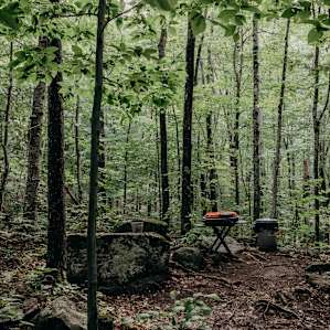 If you have grilling food, there's an awesome grill set-up outside the more rustic tree-house!