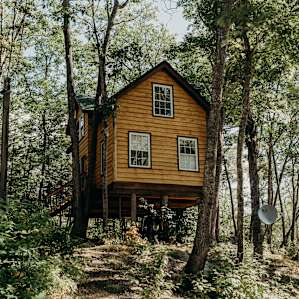 We got a special tour of the grandest tree-house... and it was incredible!