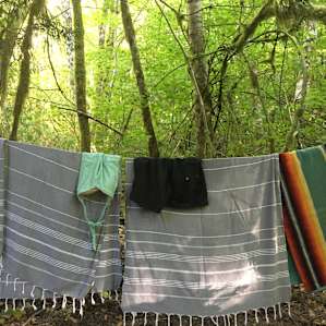 Forests, Fields, & Creek-Oh My!