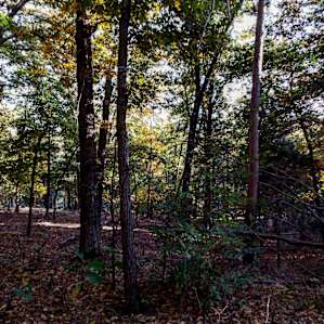 Rocky Branch Campground