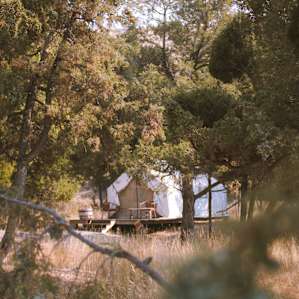 One of the four canvas tents tucked in the trees.