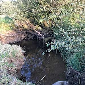 I could sit by this water hole for days and never get bored. It was so soothing to be next to the gently flowing water. It wasn't hot enough to get in the water, but what a fabulous swimming hole it would be on a hot day.