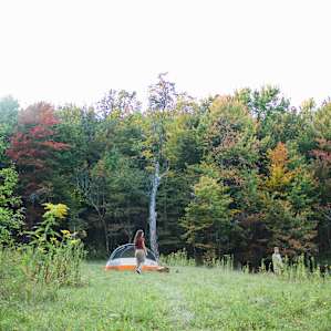 Northern Catskills Malaka Meadows