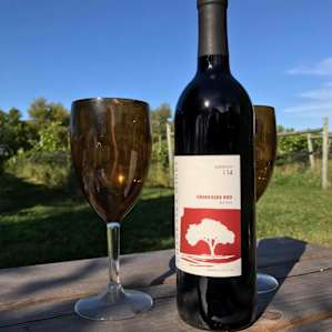 Prairie Woods Farm Vineyard Camp
