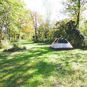 There are several campsites here, and mine was in a pretty meadow surrounded by trees and wildflowers.