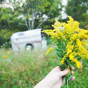 My wildflower bouquet :)