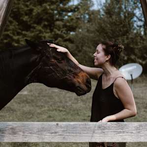 horse animal