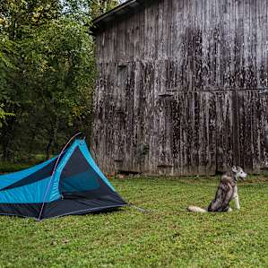 Right by the old barn is a great spot to pitch your tent.