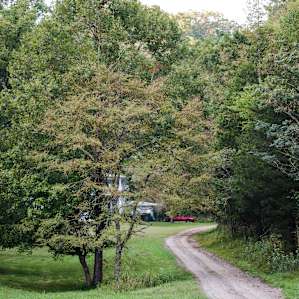 The drive heading up to Rick's house and more of the property.