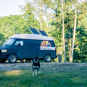 This is one of the more open camping spots in the national forest.