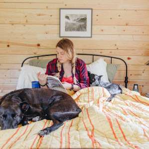 cabin people dog