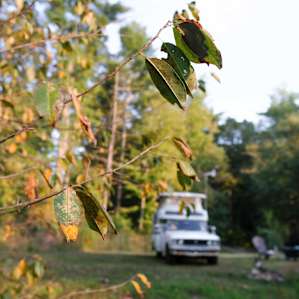 The leaves in WNC are starting to look like they're getting ready to change.