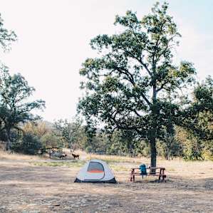 tent forest picnic table