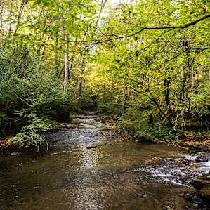 The creeks are perfect for exploring on a hot day to cool off.