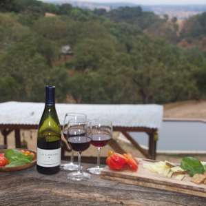 Bought a bottle of wine nearby at La Creme, and enjoyed it with freshly picked tomatoes and basil from the garden.