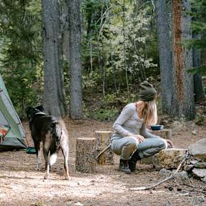 tent forest people