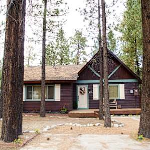 cabin forest lodging