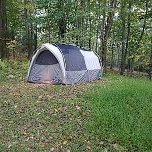 Exploring in the woods after breakfast