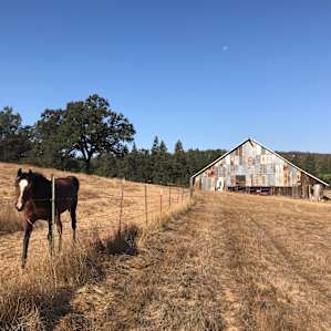Found a ranch friend!