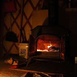 Some tasty veggies roasting in the wood stove.