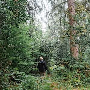 Exploring the forest on the property.