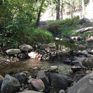 Creek flowing under 1 cfs, 9/24/2017