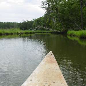 Belle Isle Campground