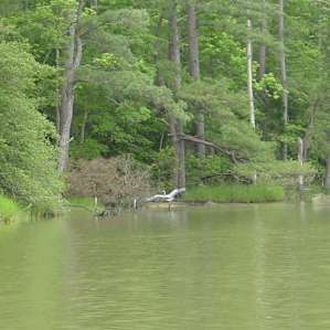 Belle Isle Campground