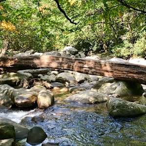 Deep Creek picnic area