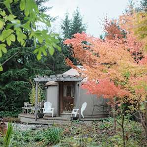 The yurt, spotted from across the garden.