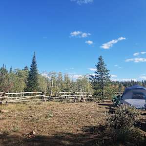 Pole Creek Group Campground