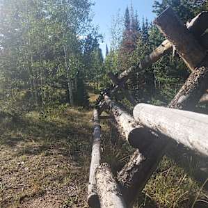 Pole Creek Group Campground