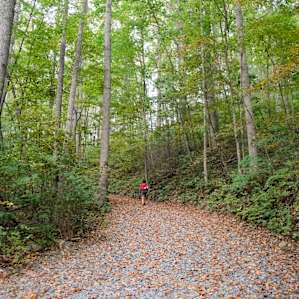 Caroline going for a short hike to scout out the property which extends up this road and to the right.