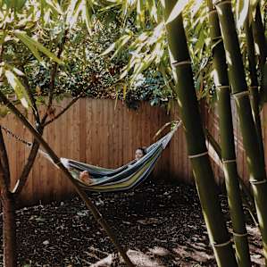 Backyard hammock!