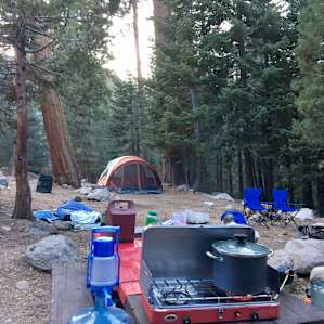 Site 9