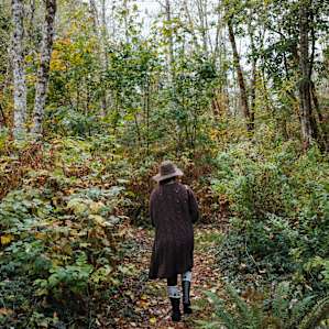 Taking a stroll through the forest.