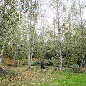 Wandering through the woods on the property.