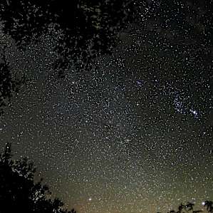 And this is why it's called Oasis of Stars!