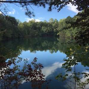 Between the Ponds