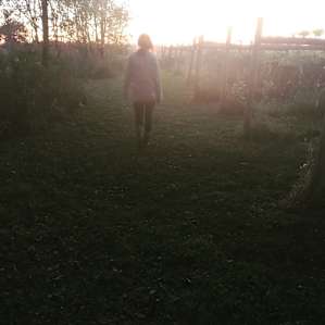 Prairie Woods Farm Vineyard Camp