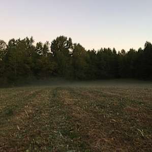 Spring Hill Farm