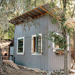 cabin forest lodging