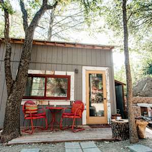 cabin forest lodging