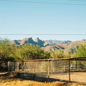 Saguaro National Park views