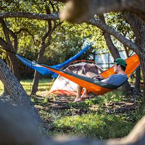 Shady grove hanging as the day comes to an end.