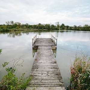Perfectly weathered dock leading out into the lake.