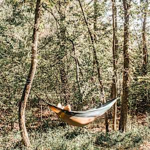 A few places to set up your hammock!