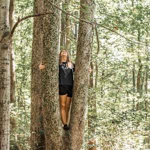 There is a massive tree you can climb in.