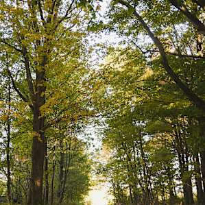 the road past the tent